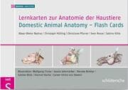 Cover von Lernkarten zur Anatomie der Haustiere