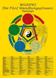 Cover von Die fünf Wandlungsphasen