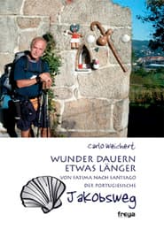 Cover von Wunder dauern etwas länger