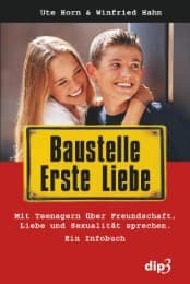 Cover von Baustelle erste Liebe
