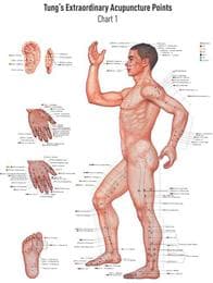 Cover von Master Tung's Extraordinary Acupuncture Points on the Regular Channels 1