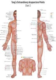 Cover von Master Tung's Extraordinary Acupuncture Points on the Regular Channels 2