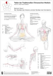 Cover von Element Feuer I, Tafel der Traditionellen Chinesischen Medizin