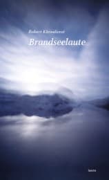 Cover von Brandseelaute