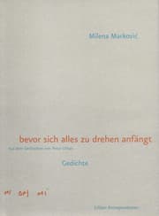 Cover von bevor sich alles zu drehen anfängt
