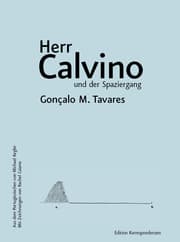 Cover von Herr Calvino und der Spaziergang