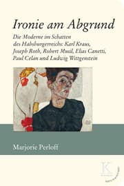 Cover von Ironie am Abgrund