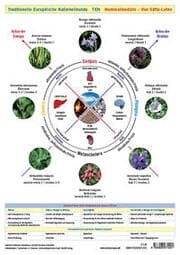 Cover von Traditionelle Europäische Naturheilkunde TEN