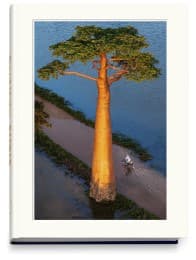 Cover von BAOBAB