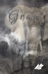 Cover von Grau