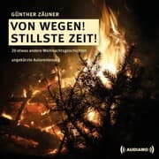 Cover von Von wegen! Stillste Zeit!