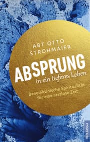 Cover von Absprung in ein tieferes Leben
