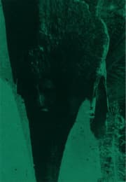 Cover von Kudzanai-Violet Hwami