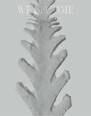 Cover von Vanessa Billy