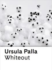 Cover von Ursula Palla. Whiteout