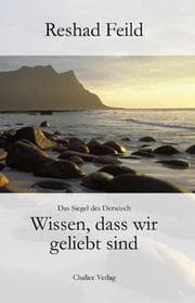 Cover von Wissen, dass wir geliebt sind