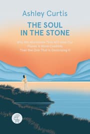 Cover von The Soul in the Stone