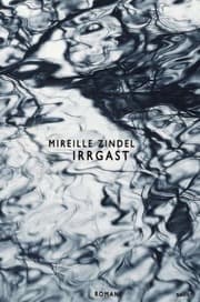 Cover von Irrgast
