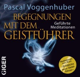 Cover von Begegnung mit dem Geistführer