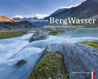 Cover von Bergwasser