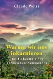 Cover von Warum wir uns inkarnieren
