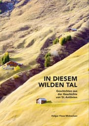Cover von In diesem wilden Tal