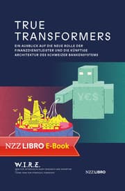Cover von True Transformers
