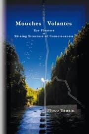 Cover von Mouches Volantes