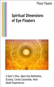 Cover von Spiritual Dimensions of Eye Floaters