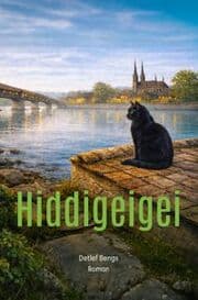 Cover von Hiddigeigei