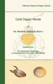 Cover von Gold Digger Words