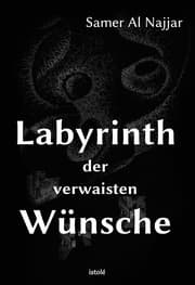 Cover von Labyrinth der verwaisten Wünsche