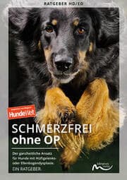 Cover von Schmerzfrei ohne OP