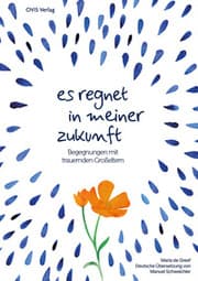 Cover von Es regnet in meiner Zukunft