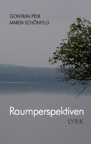 Cover von Raumperspektiven