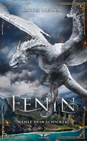 Cover von Fenin - Wähle dein Schicksal