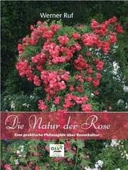 Cover von Die Natur der Rose