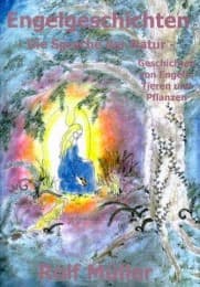 Cover von Engelgeschichten
