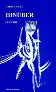 Cover von Hinüber