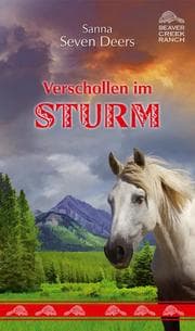 Cover von Verschollen im Sturm