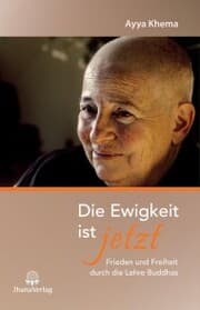 Cover von Die Ewigkeit ist jetzt