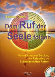 Cover von Dem Ruf der Seele folgen