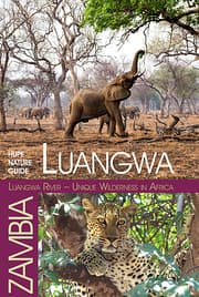 Cover von Luangwa River - Unique Wilderness in Africa