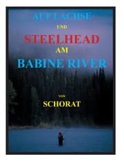 Cover von Auf Lachse und Steelhead am Babine River
