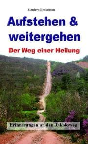 Cover von Aufstehen und weitergehen