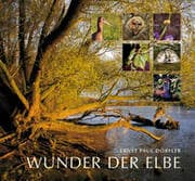 Cover von Wunder der Elbe
