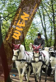Cover von Mein schräger Blick auf Wien