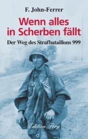 Cover von Wenn alles in Scherben fällt