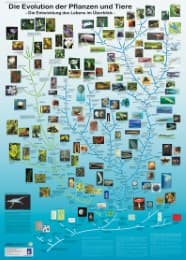 Cover von Die Evolution der Pflanzen und Tiere