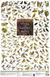 Cover von Vögel in den Gärten und Parks Europas